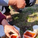 앵무산농장 이미지