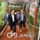오전로 이미지