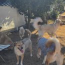 멍블랑 유치원 이미지