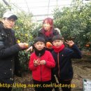 은선농장 이미지