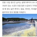 황산골 이미지