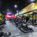 핏-타운 이미지