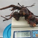 자산동203 이미지