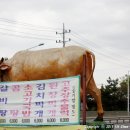 로타리식육식당 이미지