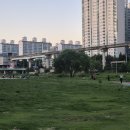 오월의 밤