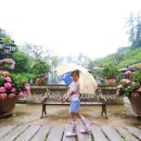 정원산책 카페 이미지