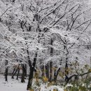 능동공원 이미지