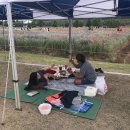 바이트 미 피자 이미지