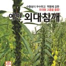 예안슈퍼 이미지