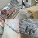 링 | 홍대 예신 피부관리 스킨플래닝 세라링 후기 다프네뷰티