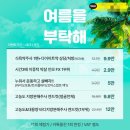 타이드엔드 | 압구정 일론머스크다이어트 복부지방분해주사 엔드컷 3차 후기