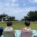피드아이 | 휴대용 아기의자 부스터 유니러브 피드미 사용후기