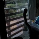 (주)일등자동차 이미지