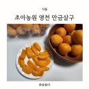 초아농원 | 여름제철과일 초아농원 영천 만금살구