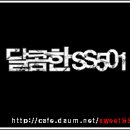 돌이킬수없다면 끝까지 폼나게 간다 - 달콤한SS501 이미지