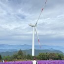 노을빛언덕 | 감악산 꽃별여행 기본 정보 예약 주차장 입장료 축제 기간 + 방문 후기