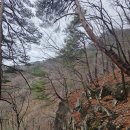 산신 기도초 발원올립니다 () 이미지