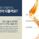 나세르의원