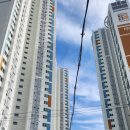 산호골프연습장 이미지