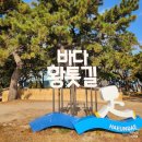 송림 | 해운대 송림공원 황톳길 다녀온 솔직후기
