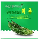 여주-0971 Daum카페