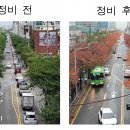 벚꽃로-1 이미지