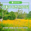 낙동강제방(2) | [구미낭만여행] 금계국 핀 낙동강체육공원 자전거 타고 꽃길 라이딩