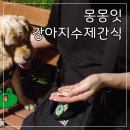 몽몽잇 이미지