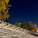 덕수궁 밤산책 | 야간개장, 덕수궁 프로젝트 2021: 상상의 정원, 무료 주차장, 덕수궁 돌담길, 가을...
