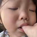 19개월아기 수족구 구내염 성북우리아이들병원 입원 2인실 비용 _ 한일병원과 비교 후기