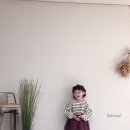 스티치스 이미지