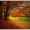 S세차장 이미지