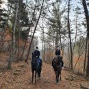 퀸즈승마장 이미지