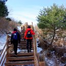 떡시루 - 군포시 당동로17번길 3 | 떡시루