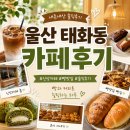 울산 태화동 카페후기 신상카페 빵맛집 내돈내산 솔직후기