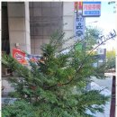 연세 상담 행정사 사무소 이미지