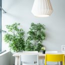 더샾세탁소 이미지