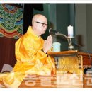 사단법인 대한불교종정협의회 이미지