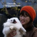 번개닭갈비 이미지