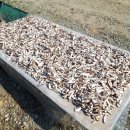 신석농장 이미지