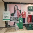 크로커다일레이디장