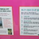 헤나앤염색