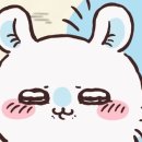 모몽가 이미지