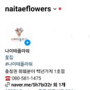 나이테플라워 이미지