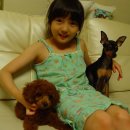 미니어처 우리집 이미지