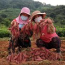 지리산농협 APC 이미지