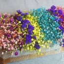 파스텔프라자 이미지