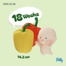 피망 거창점 | 베스킨라빈스 젠더리빌(망함) / 16~18주차 임산부의 컨디션 좋은 하루들