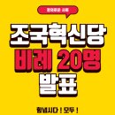 민주당원 조국혁신당 비례 20명 후보 대단한데요? 기대됩니다! 이미지