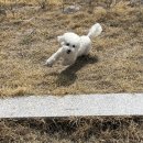 송산유치원 이미지